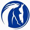 Rdics - Lifestock Kft. & World Horse Welfare